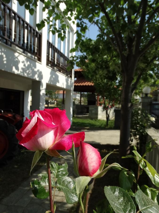 Christakos Apartments Nea Vrasna Exterior photo